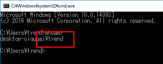 💻 Windows ドメインを確認するコマンド 4 DownloadFile iv
